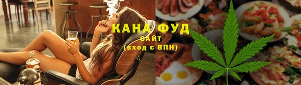 индика Балахна