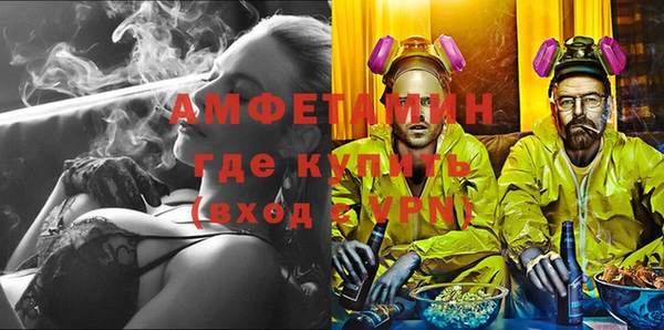 индика Балахна
