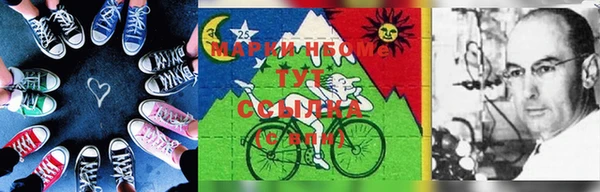 индика Балахна