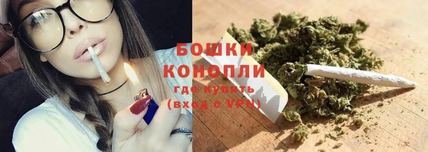индика Балахна