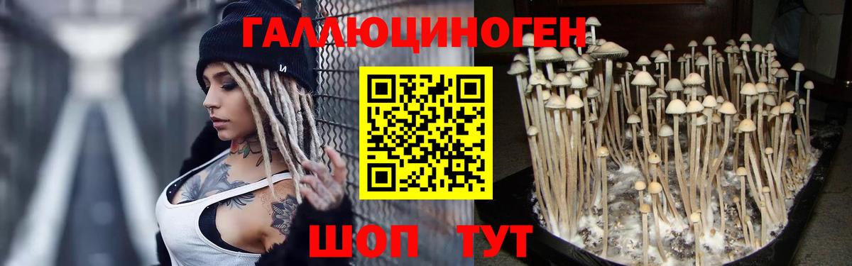 Галлюциногенные грибы ЛСД  Вход с VPN  Краснокаменск 